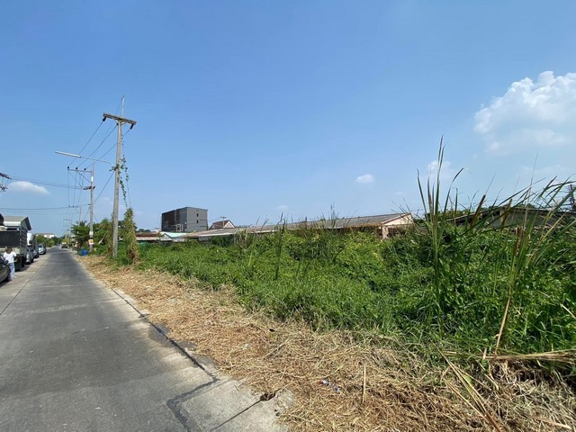 ขายที่ดินลำลูกกาคลอง4 ขายที่ลำลูกกาปทุมธานี ขายที่ปทุมธานี