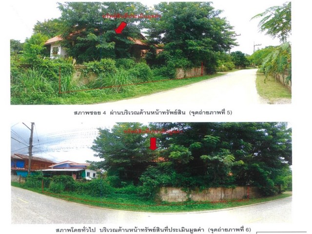 ขายบ้านเดี่ยวมือสอง อำเภอแม่ใจ จังหวัดพะเยา  โครงการ ป่าสัก