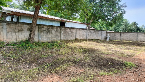 ทีดินจัดสรร 11 แปลง ใกล้มหาวิทยาลัยพิษณุโลก, หลังแม็คโคร 2, ขนส่งพิษณุโลก (แปลงที่ 6)