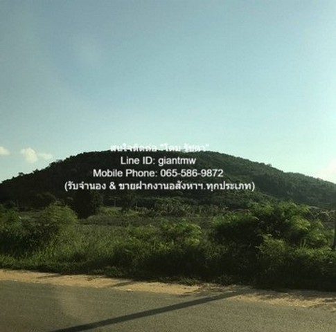  Code ID : bas1626  ราคา  2,150,000    บาท ▸ เนื้อที่ 66 ตร.ว   พื้นที่ใช้สอย 190.96 ตร.ม.   ▸ 3 ห้องนอน 2 ห้องน้ำ    ▸ 1 ที่จอดรถ   บ้านหันไปทางทิศเหนือ  พิกัดทรัพย์ : https://maps.app.goo.gl/8qNF9uCULLdw2uSF8  สถานที่ใกล้เคียง ▸ใกล้  บิ๊กซี น่าน ▸ใกล้  วัดพระธาตุเขาน้อย ▸ใกล้  โลตัส น่าน ▸ใกล้  สถานีขนส่งผู้โดยสาร จังหวัดน่าน  สอบถามเพิ่มเติม / นัดชม โทร. 097-419-5982(พลอย) โทร. 096-932-4624(ออมสิน) Line : @panaya (มี@ด้านหน้า)  ปรึกษาสินเชื่อฟรี One Stop Service ดูแลตั�