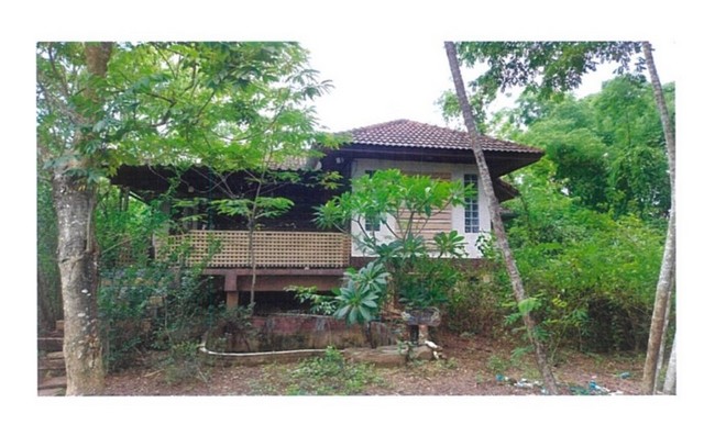 ขายบ้านเดี่ยวมือสอง อำเภอภูเพียง   จังหวัดน่าน