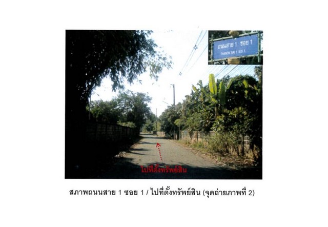 ขายที่ดิน  อำเภอเชียงแสน  จังหวัดเชียงราย  เนื้อที่ 50 ตร.ว