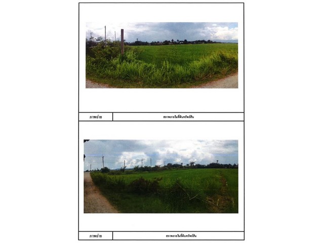 ขายที่ดิน  อำเภอพญาเม็งราย   จังหวัดเชียงราย  เนื้อที่ 5 ไร่  61 ตร.ว