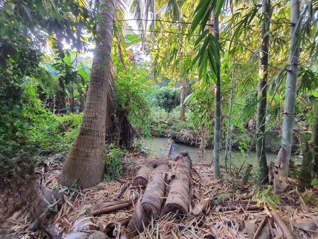 ที่ดินเปล่า ถมแล้ว  น้ำ ไฟฟ้าครบ ดอยสะเก็ด          