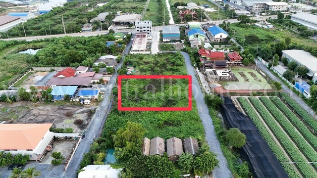 P1 ที่ดินเปล่า 1 ไร่ คลองขวาง บางกรวย - ไทรน้อย แปลงสวย ถมแล้ว