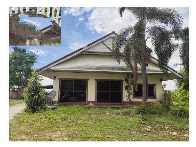   Code ID : PGPYO-LB-A-670011  ราคา  1,800,000   บาท ▸ เนื้อที่  57 ตร.ว พื้นที่ใช้สอย 387.96 ตร.ม.   ▸ 2 ห้องนอน 1 ห้องน้ำ    ▸ 1 ที่จอดรถ   บ้านหันไปทางทิศตะวันตกเฉียงใต้  พิกัดทรัพย์ : https://maps.app.goo.gl/qF6atsq8PhdKAaa86  สถานที่ใกล้เคียง ▸ใกล้  แม็คโคร พะเยา ▸ใกล้  ตลาดสดแม่ทองคำ ▸ใกล้  ที่ว่าการอำเภอดอกคำใต้ ▸ใกล้  ถนนคนเดินพะเยา(ท่ากว๊าน)  สอบถามเพิ่มเติม / นัดชม โทร. 097-419-5982(พลอย) โทร. 096-932-4624(ออมสิน) Line : @panaya (มี@ด้านหน้า)  ปรึกษาสินเชื�