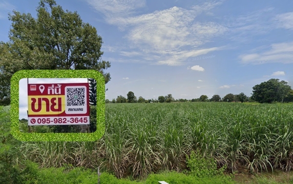 ขายด่วน!! ถูกมาก ที่ดินไร่อ้อย แปลงสวย หน้าติดถนนดำ อ.เมืองบุรีรัมย์**จุดเด่น ที่ดินแปลงสวย สี่เหลี่ยมผืนผ้า ใกล้แหล่งชุมชน>ที่ดินปลูกอ้อย ขนาด 5 ไร่ 1 งาน 79 ตารางวา>รวมเนื้อที่ 2,179 ตารางวา>ที่ดินหน้ากว้าง ประมาณ 66.59 เมตร , ลึก 150.56 เมตร>ติดถนนดำ ซอยโยธาธิการ (ถนนกว้าง 6 เมตร)===== 753 บาท / ตารางวา =====> ห่างสนามบินบุรีรัมย์ 27 กม. ( 27 นาที)> เดินทางสะดวก เข้า-ออก ได้หลายทาง ใกล้เ