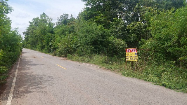 ขายที่ดิน 263 ตารางวา  ใกล้มหาวิทยาลัยขอนแก่นวิทยาเขตหนองคาย  เมืองหนองคาย   ZP129