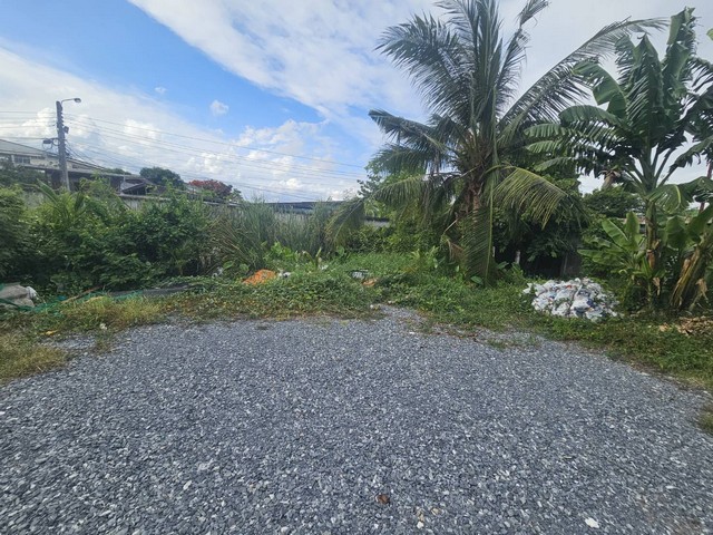 ขายที่ดินเพชรเกษม48 ขายที่ดินภาษีเจริญบางแค ขายที่ดินบางแค