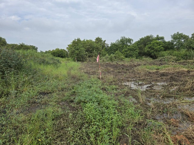 ที่ดินคลองหกตะวันตกซอย 9 ที่ดินหน้ากว้าง ขนาด 1 ไร่ ราคา 1,800,000 บาท