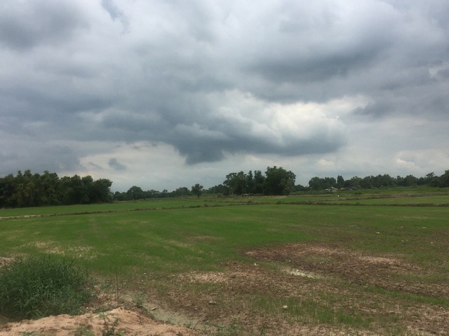 ขายที่ดิน จังหวัด นครนายก 47 ไร่ 2 งาน 38 ตารางวา อยู่ติดถนน นครนายก ปราจีนบุรี