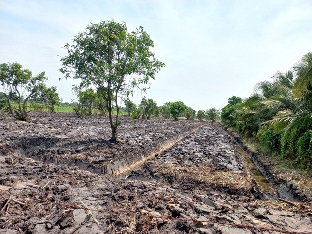 เจ้าของขายเอง  ขายที่ดิน 4 ไร่   ตำบลบ่อเงิน อำเภอลาดหลุมแก้ว จ.ปทุมธานี