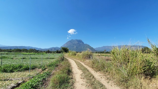 ขายด่วนๆ ที่ดินแปลงสวย อำเภอเชียงดาว เชียงใหม่ วิวดอยหลวง และ ดอยนาง เนื้อที่รวม 4 ไร่