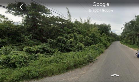 Sub1222 ขายที่ดินสะพลี อ.ปะทิว จ.ชุมพร ที่สวยบรรยากาศดี  เจ้าของขายเองเนื้อที่ 9 ไร่ 66 ตร.วา ด้านหน้าติดถนนใหญ่ + ถนนสาธารณะ 2ด้าน ใกล้ทะเล เพียง 4 กม. หน้ากว้าง 58 เมตรโฉนดครุฑแดงพิกัด : สะพลี อ.ปะทิว จ.ชุมพรใกล้เมือง แหล่งชุมชนสถานีรถไฟสะพลี เพียง 5 นาทีหาดสะพลีเพียง 6 นาทีตลาดสะพลี เพียง 7 นาทีสนามบิน เพียง 22 นาทีขาย 9.9 ล้านบาทสนใจติดต่อ062-662-6356 โบนัส