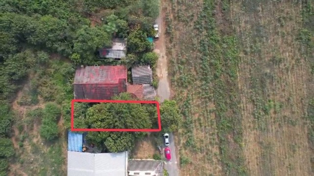 ขายที่ดินขนาด 102 ตรว ที่ดินปลูกบ้านห่างถนนสุขุมวิทเพียง 200 เมตร ขายที่ดินผ่อนตรงผ่านเจ้าของได้ ใกล้บุญถาวรสัตหีบ บางเสร่ ชลบุรี