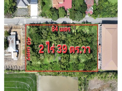 ทำเลค้าขายได้ตลอดปี! ขายที่ดิน 2 ไร่ 39 ตร.วา เหมาะสร้างอพาร์ทเม้นท์พร้อมแบ่งล็อคร้านค้า คลอง 11 ถนนรังสิต-นครนายก ติดวัดสระบัว ปทุมธานี