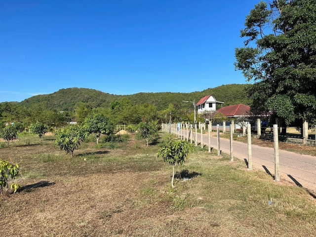 ายที่ดินสวยใกล้ชายหาด 1 ไร่ 1 งาน 90ตรว. (โฉนด2ใบ) ต.คลองขุด อ.ท่าใหม่ จันทบุรี