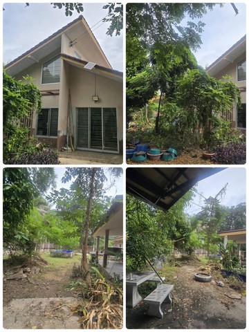 ขายบ้านเดี่ยว พร้อมที่ดิน ตะเคียนเตี้ย อำเภอบางละมุง จังหวัดชลบุรี เนื้อที่ 3 งาน 92 ตารางวา