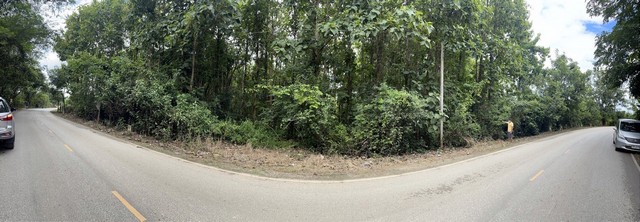 ที่ดิน ที่ดิน เชียงคาน จ.เลย 40 sq.wa 2 Ngan 13 Rai  28420000 BAHT. ใกล้ ห่างถนนคนเดินเชียงคาน 3.5 กม. ทำเลดีเยี่ยม เลย