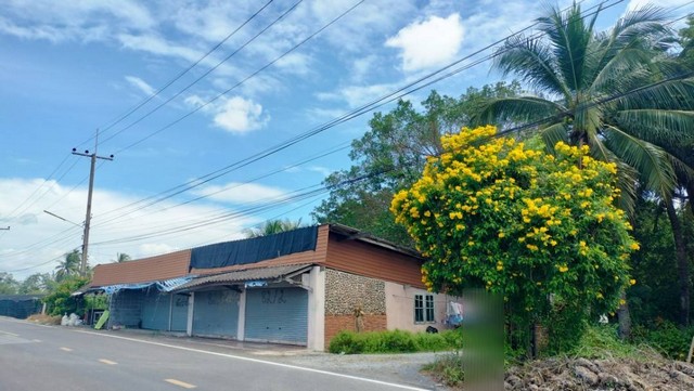 ขายด่วน ที่ดิน พร้อมสิ่งปลูกสร้าง ทำเลดี เนื้อที่ 5 -3-36 ไร่  ต.บางยาง อ.กระทุ่มแบน จ.สมุทรสาคร  ZW471