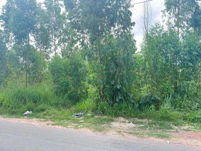 TEL : 061-979 5595 ดนิตาLine : https://line.me/ti/p/yxo92dHWP1ขายที่ดินแปลงสวย ทำเลดี หนองปรือ บางละมุง ชลบุรีรายละเอียด : เนื้อที่ขนาด 34-2-49 ไร่  (13,849 ตรว.)มีไฟฟ้าปะปา ถนนคอนกรีตติดกับหมู่บ้านหลายโครงการราคาไร่ละ 6,500,000 ลบ.ราคาตารางวาละ 16,250 บาท ราขายยกแปลง 225,046,250 ลบ.F-A4 