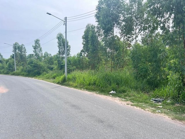 ขายที่ดินแปลงสวย ทำเลดี หนองปรือ บางละมุง ชลบุรี FP-L0493