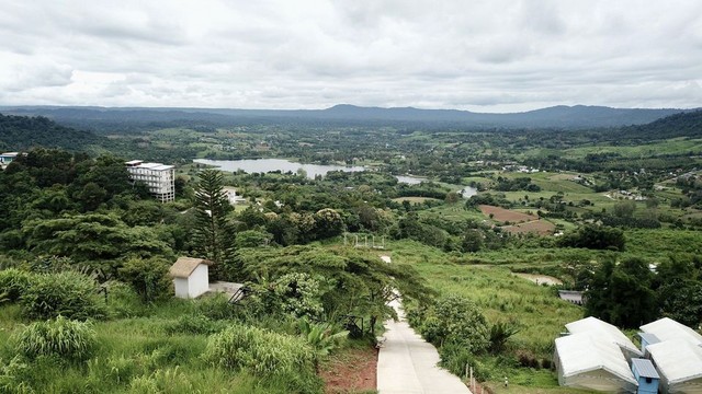 ขายที่ดินแบ่งขายที่สวยที่สุดในเขาค้อ ตำบลเขาค้อ อำเภอเขาค้อ เพชรบูรณ์