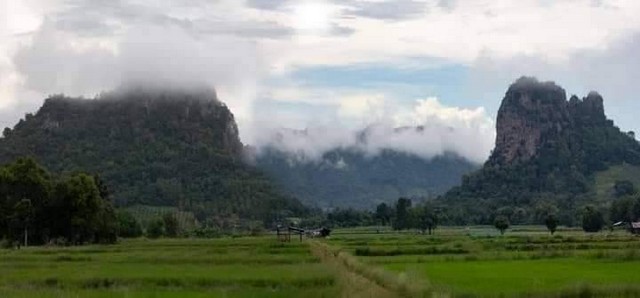 ขายที่ดิน 9 ไร่ 3 งาน 50 ตารางวา ตำบลห้วยโป่ง, อำเภอหนองไผ่, จังหวัดเพชรบูรณ์