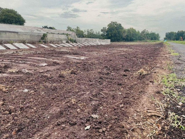 ที่ดินคลองห้า คลองหลวง ติดคลองแอน ถมแล้ว น้ำไฟมีพร้อม ขนาด 200 ตรว.