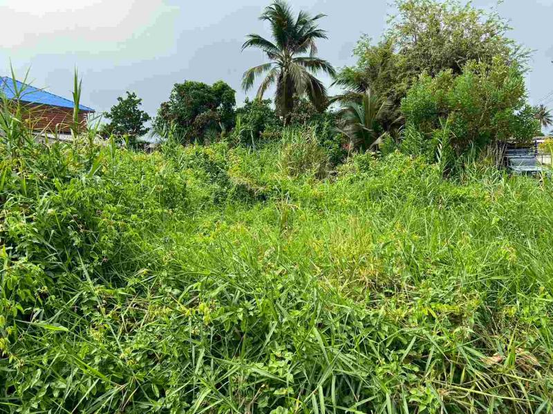 ขายด่วน ที่ดินเปล่าแปลงสวย ทำเลดี อำเภอสามพราน จังหวัดนครปฐม (เจ้าของขายเอง)