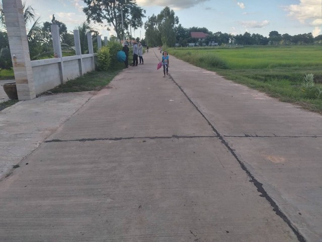 แบ่งขายที่ดินแกใหญ่ 2 ไร่ 1 งาน 16 ตารางวา เจ้าของที่ขายเอง สุรินทร์