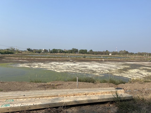 เวียงพิงค์คอนโด 1.99 ล้านบาท นิมมาน เมญ่า สุเทพ 42 ตรม. ห้องใหญ่ เฟอร์นิเจอร พร้อมเข้าอยู่