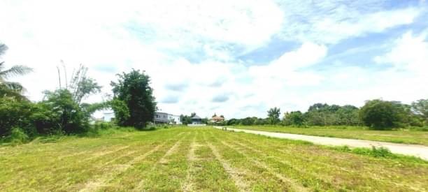 ที่ดินแปลงสวย เริ่มต้นที่ 700,000 บาท #สารภี #ถมดินสูง #ย่านชุมชนปลอดภัย เหลือเพียง 17  ยูนิตเท่านั้น