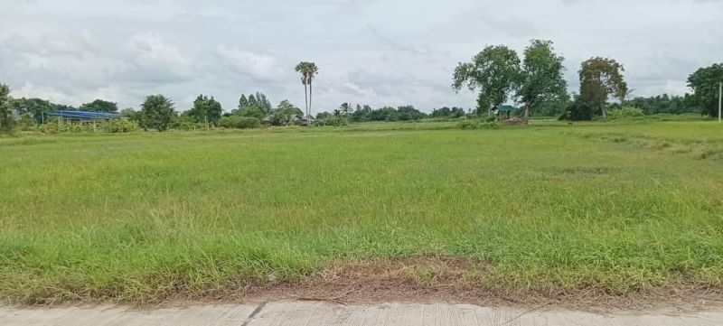 AOM 1361ขายด่วน‼️ที่แปลงสวย ราคาถูกหนองขยาด บ้านบึงที่ดินเนื้อที่17-0-74ไร่ขายไร่ล่ะ1ล้านบาท‼️ทั้งหมด17ล้านบาทโอน50/50ติดต่อขอรูปและรายละเอียดเพิ่มเติม  สนใจนัดชมสถานที่จริงคุณต๋อม 081-925-2443  , คุณต๋อย 086-542-7078LINE 081-925-2443   LINE 086-542-7078อสังหาริมทรัพย์ ยินดีรับฝากขาย-เช่า อสังหาริมทรัพย์ทุกชนิดERA Property Network Co.Ltd.