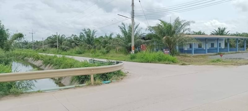 ขายด่วน ที่แปลงสวย ราคาถูก หนองขยาด บ้านบึง ชลบุรี
