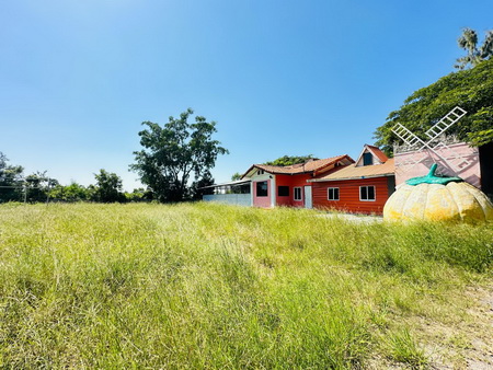 ขายที่ดินแถมสิ่งปลูกสร้าง  เนื้อที่รวม 9-1-30.4 ไร่ ถนนสายบ้านด่านขุนทด-บ้านหนองแวง ตำบลด่านขุนทด ด่านขุนทด จ.นครราชสีมา