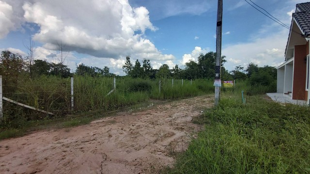 ขายที่ดินสวย 2 ไร่ ตรงข้ามการ์เด้นซีน  พระลับ  เมืองขอนแก่น   ZE736