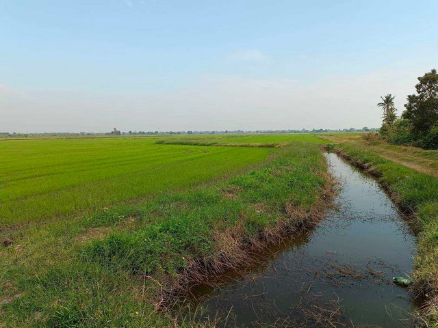 ขายที่ดินรวม 59 ไร่ จ.นครปฐมด้านหน้าติดถนน ลาดยาว กว้าง 80 เมตรด้านหลังติดคลองน้ำใส เหมาะทำโรงงาน หรือ โกดังใกล้ อริยะแลนด์ อบต.นราภิรมย์ และ สถานีอนามัย นราภิรมย์ 2 กม.ห่างจากสนามบินใหม่นครปฐมประมาณ 9 กม.ห่างจากซุปเปอร์มาร์เก็ตสวนกล้วยไม้ ออคิดฟาร์ม 3 กม.ราคาไร่ละ 1,300,000 บาท ต่อไร่ (สามารถต่อรองได้)สนใจติดต่อ 080-771-5551 คุณสา หรือ Line ID: sar99