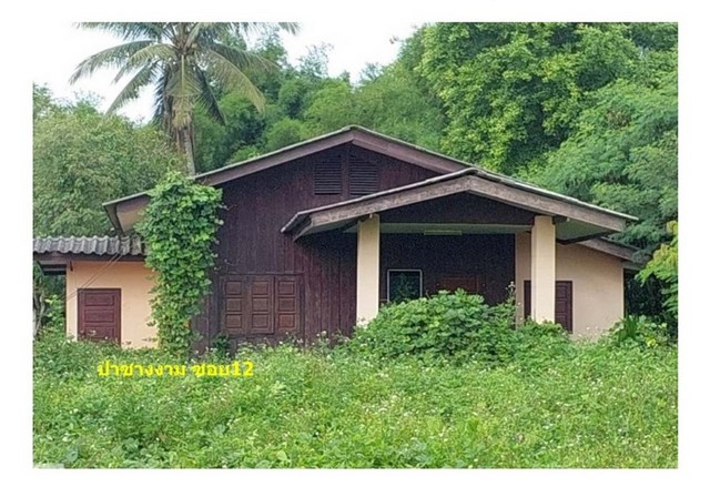  Code ID : PGCMI-LB-A-650023  ราคา  730,000  บาท ▸ เนื้อที่ 52.30 ตร.ว   พื้นที่ใช้สอย 75.9 ตร.ม.   ▸ 2 ห้องนอน 1 ห้องน้ำ    ▸ 1 ที่จอดรถ   บ้านหันไปทางทิศตะวันออกเฉียงเหนือ  พิกัดทรัพย์ : https://maps.app.goo.gl/cenzRszpYTbrqZnb6  สถานที่ใกล้เคียง ▸ใกล้  แม็คโคร ฝาง ▸ใกล้  โลตัส เชียงใหม่-ฝาง ▸ใกล้  โรงพยาบาลฝาง ▸ใกล้  ตลาดฝางกัลยา  สอบถามเพิ่มเติม / นัดชม โทร. 097-419-5982(พลอย) โทร. 096-932-4624(ออมสิน) Line : @panaya (มี@ด้านหน้า)  ปรึกษาสินเชื่อฟรี One Stop Service ดูแลตั�