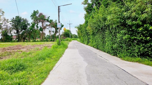 ขายที่ดินสวยหนองตำลึงชลบุรี​  ????เทศบาลซอย 7 บนเนื้อที่​ 3ไร่​ ​52​  ตรว #ที่ดินปรับถมเรียบร้อยเป็น4 เหลื่ยมหน้ากว้างสวยมาก