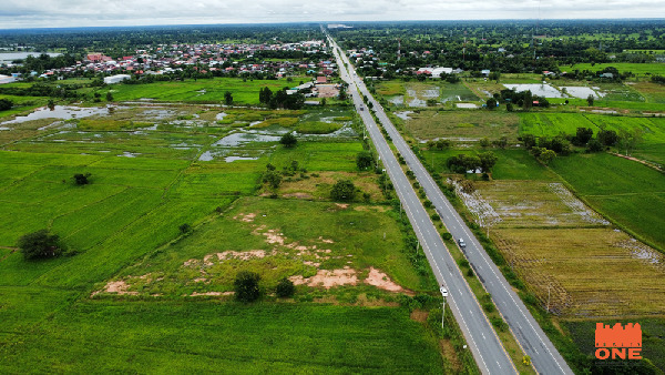 ขายที่ดิน อ.ยางตลาด กาฬสินธุ์ 5 ไร่ แปลงสี่เหลี่ยม ติดถนน 4 เลน เส้นขอนแก่น-กาฬสินธุ์