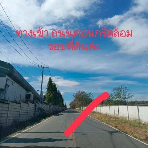 ขายที่ดินหนองเสือช้าง อำเภอหนองใหญ่ จังหวัดชลบุรี เนื้อที่ 47 ไร่