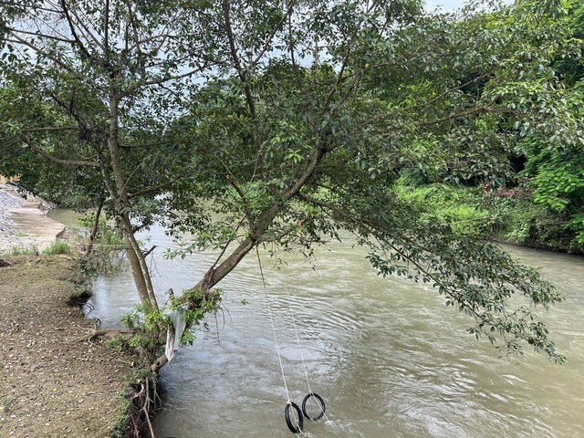 สวนผลไม้ติดลำธาร ต.สาริกา อ.เมือง จ.นครนายก 8 ไร่กว่า