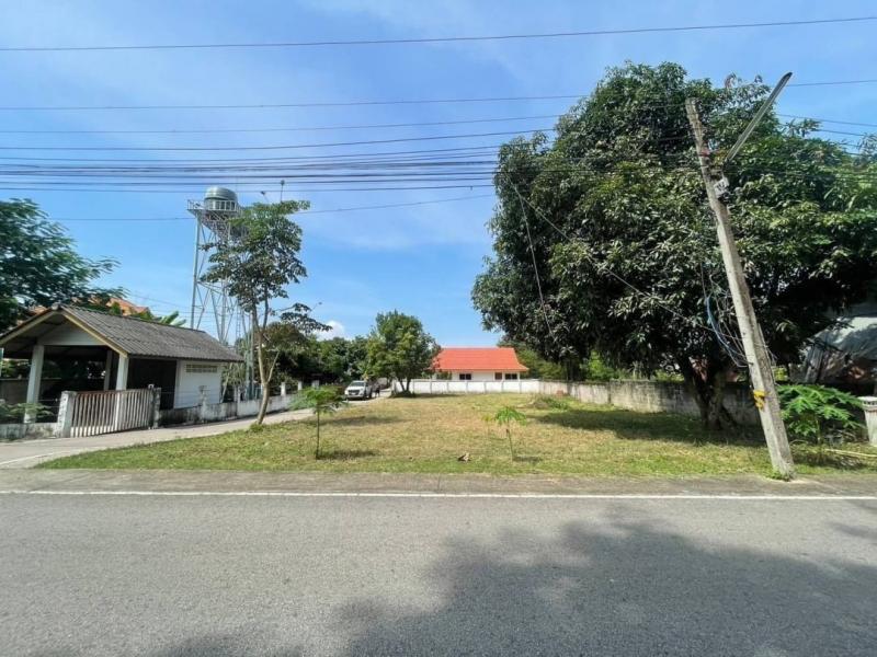 โซนสันกำแพง ขายที่ดินเปล่า 1.5 ล้าน เนื้อที่ 119.7 ตรว. แปลงมุม ติดถนนสองฝั่ง ที่ดินทำเลดี อยู่นอกโซนน้ำท่วม 100%