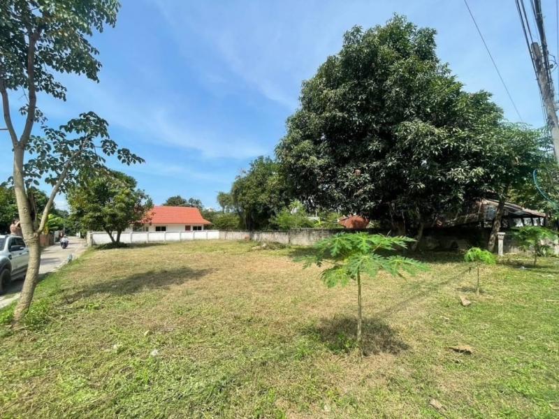 โซนสันกำแพง ขายที่ดินเปล่า 1.5 ล้าน เนื้อที่ 119.7 ตรว. แปลงมุม ติดถนนสองฝั่ง ที่ดินทำเลดี อยู่นอกโซนน้ำท่วม 100%