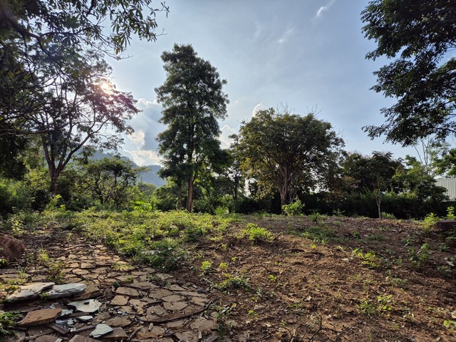 ขายที่ดิน มวกเหล็กวัลเล่ ขายที่ดิน 1 ไร่ ทำเลดี วิวภูเขา  ที่ดินปรับพื้นที่แล้ว น้ำไฟเข้าถึง ล้อมรั้วแล้ว