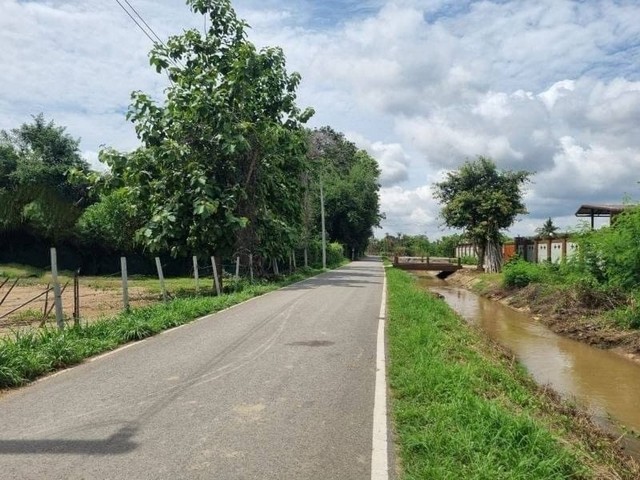 ขายที่ดินแบ่งแปลงแล้ว วิวทุ่งนา วิวภูเขา เหมืองแก้ว แม่ริม            