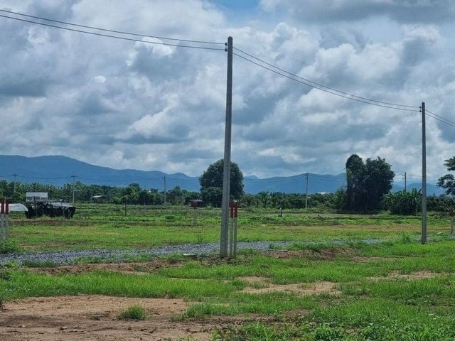 ขายที่ดินแบ่งแปลงแล้ว วิวทุ่งนา วิวภูเขา เหมืองแก้ว แม่ริม