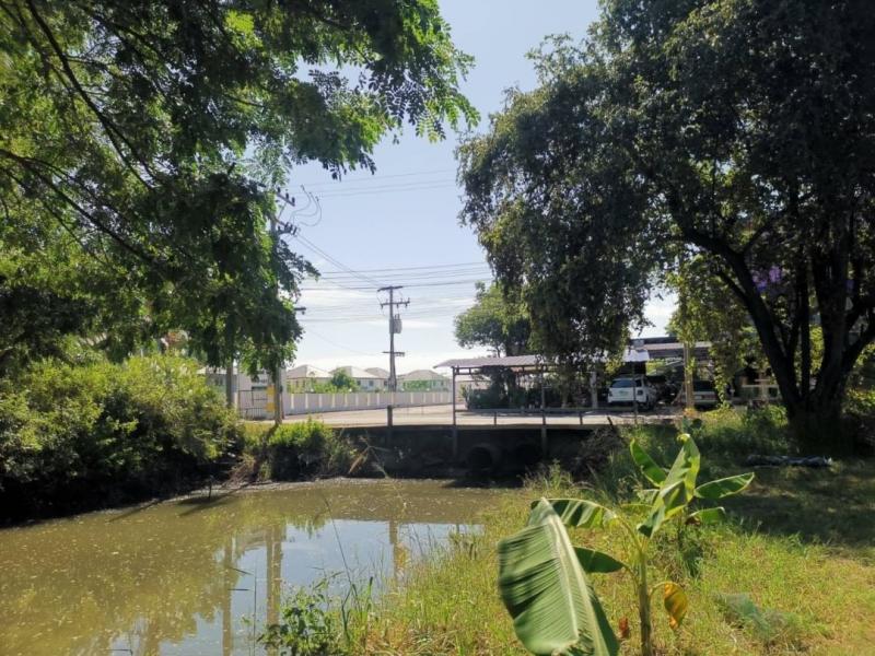 ลดราคาขายด่วน​ มองหานักลงทุนทำบ้านขาย​ ​ขายที่ดินทำเลทอง​สามารถสร้างบ้านขายได้ สามารถทำบ้านพูลวิลล่าได้​ / หอพัก​/พุลวิลล่า​/อพาร์ตเมนต์