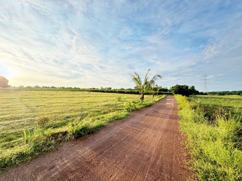 ขายที่ดินสวยราคาถูกพนัสนิคม​ ????พื้นที่ผังสีเหลือง โฉนดพร้อมโอน​